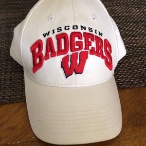 Wisconsin Badgers Baseball Hat